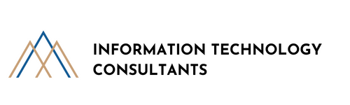 information technology consultants